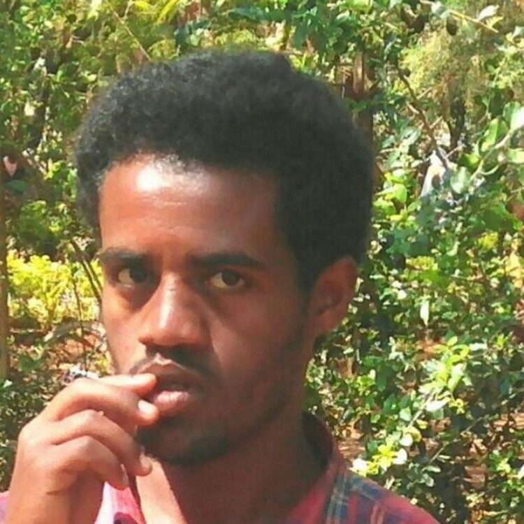 Foto de perfil de sanga