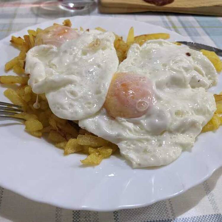 Foto de perfil de Pedro