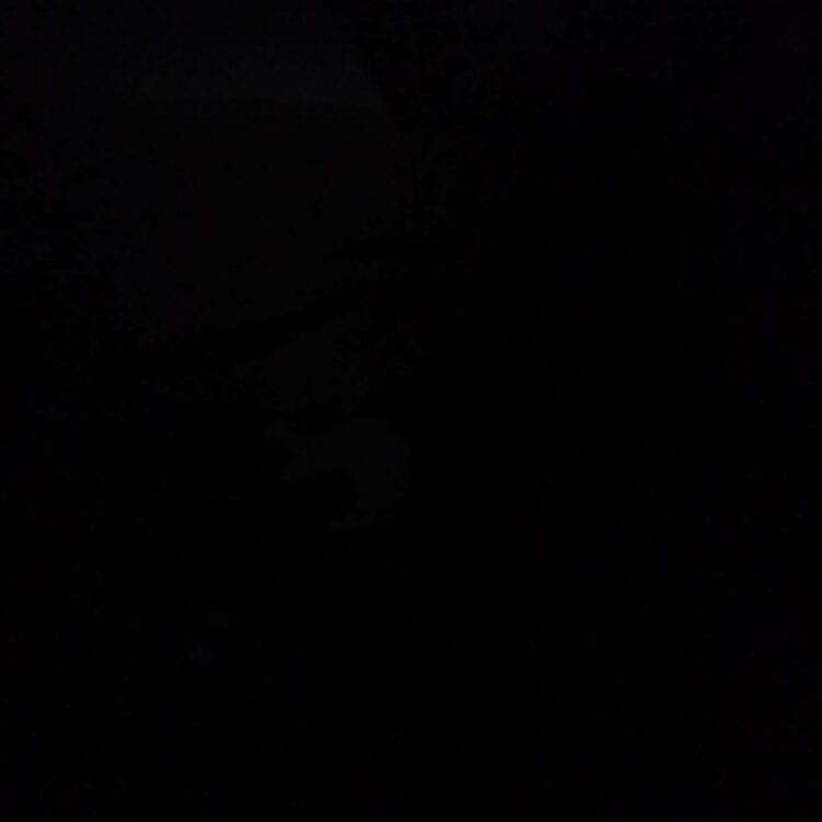 Foto de perfil de BlueEyedGuy