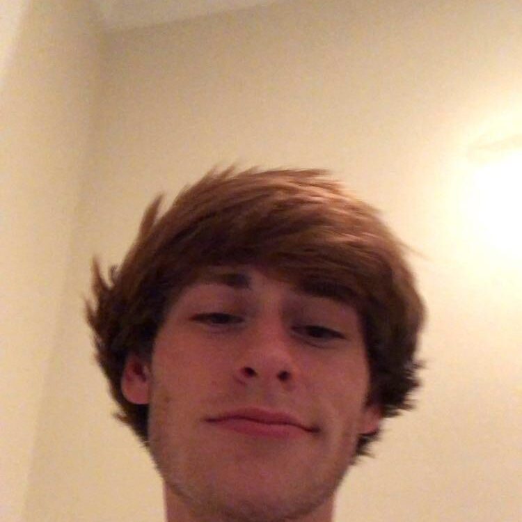 Foto de perfil de Tavelalan7