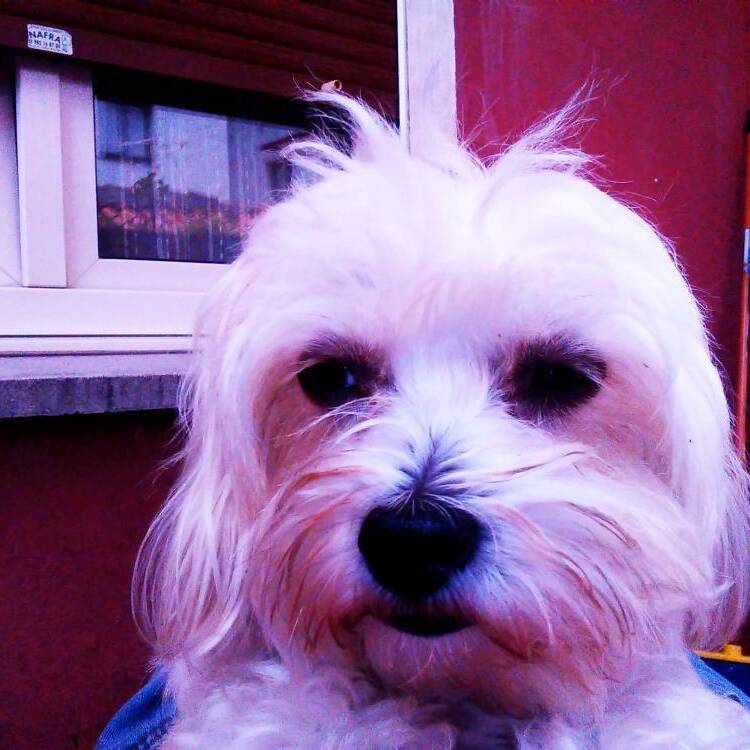 Foto de perfil de Paco