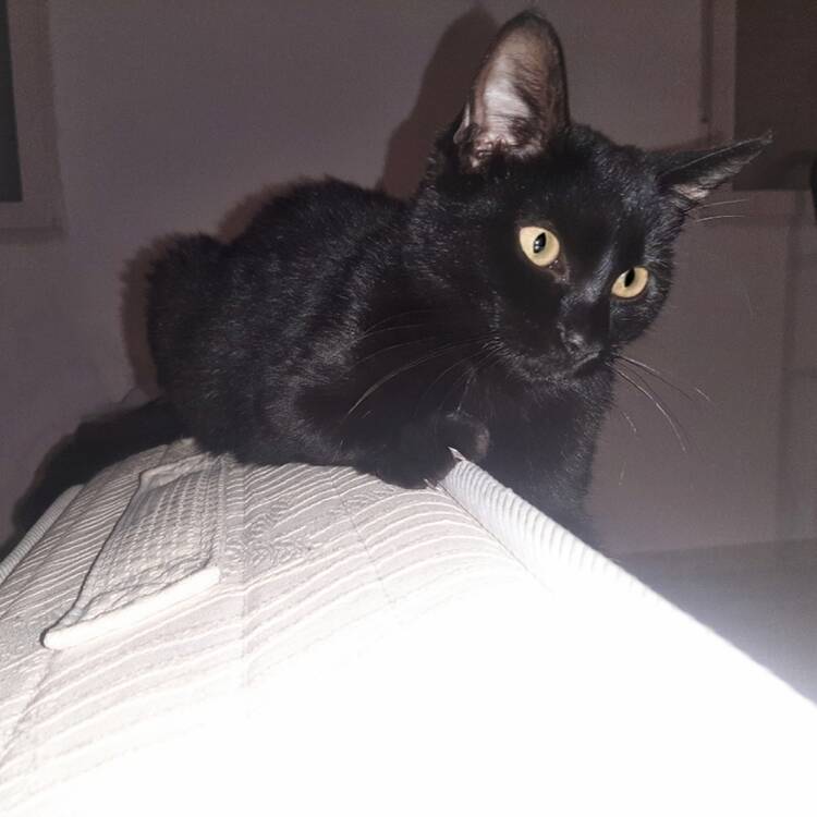 Foto de perfil de David