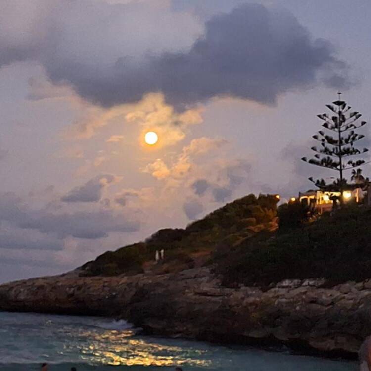Foto de perfil de Juliana