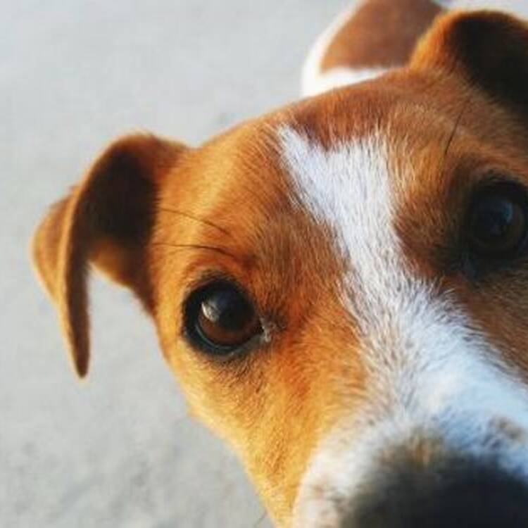 Foto de perfil de DAMIA