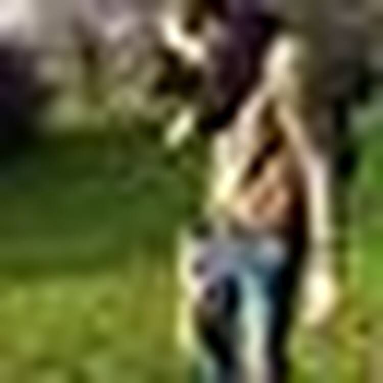 Foto de perfil de xistu