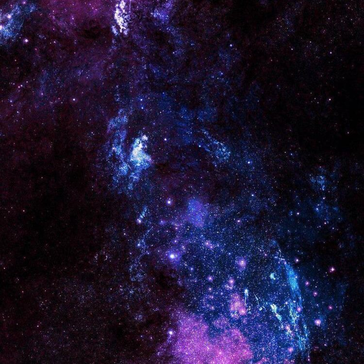 Foto de perfil de jules