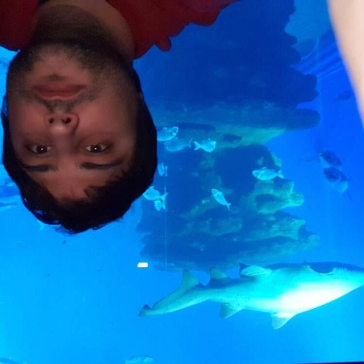 Foto de perfil de Miguel