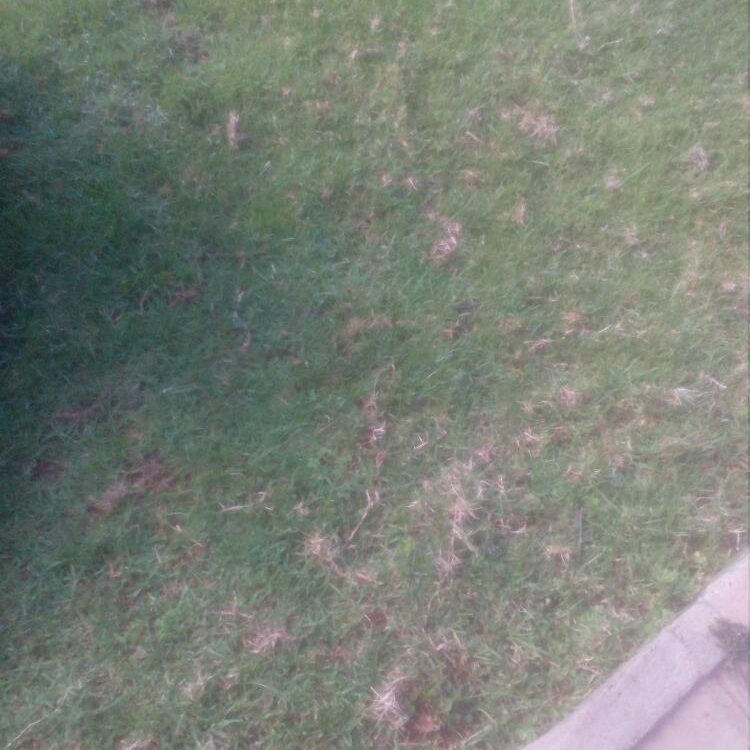 Foto de perfil de Barnaba