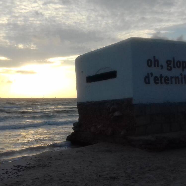 Foto de perfil de Alain