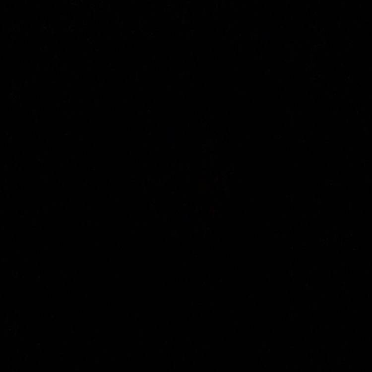 Foto de perfil de Vinicius