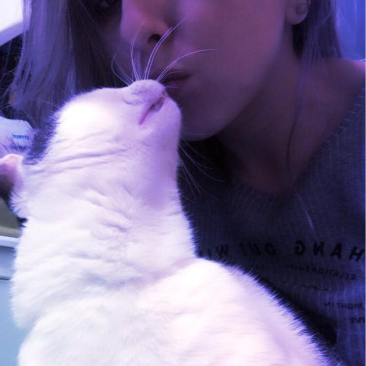 Foto de perfil de Anna27sn
