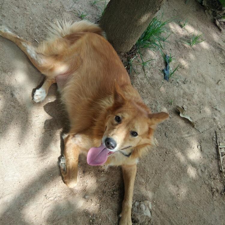 Foto de perfil de Mikkyike2
