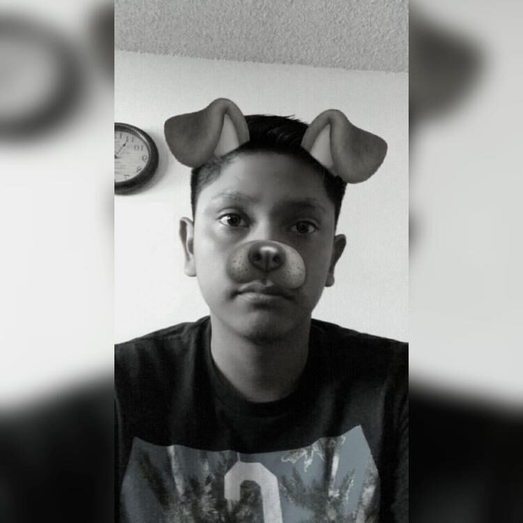 Foto de perfil de Sky