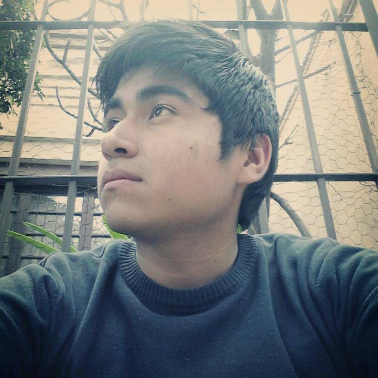 Foto de perfil de Luis Gomez