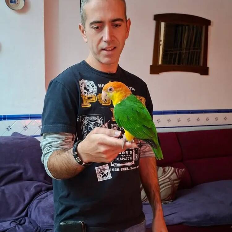 Foto de perfil de Cristobal