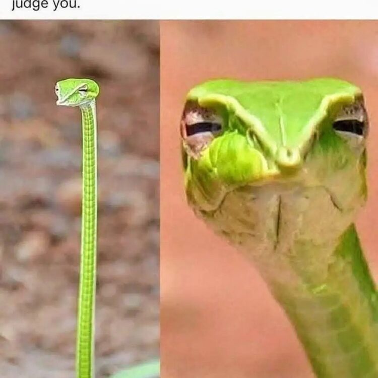 Foto de perfil de John