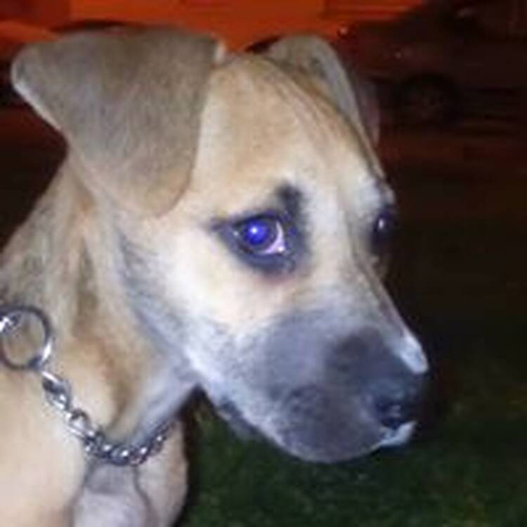Foto de perfil de Sergio Escobedo Sanchez