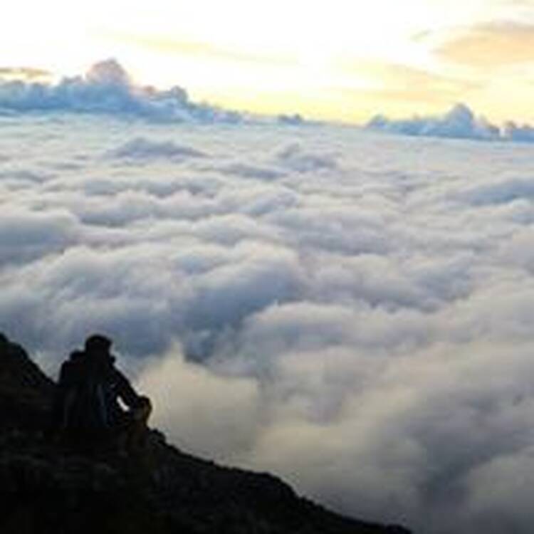 Foto de perfil de Nacho P. Perez