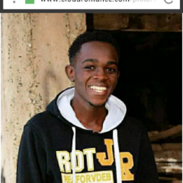 Foto de perfil de Jimtoz