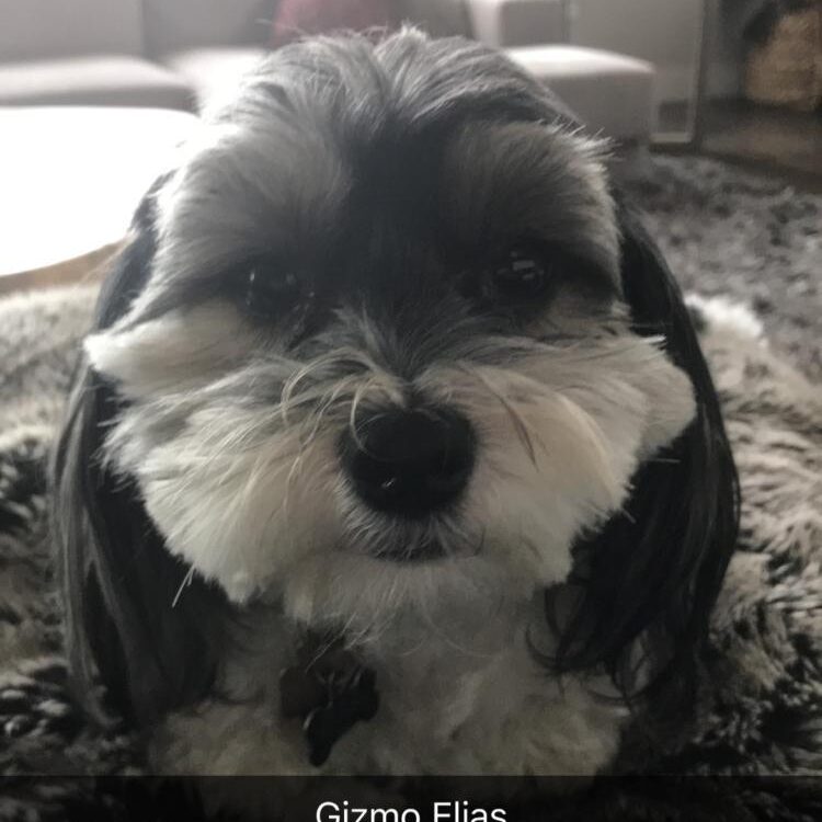Foto de perfil de Trevor Elias