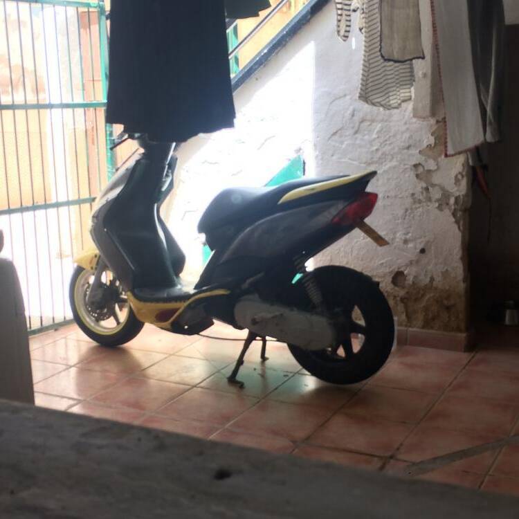 Foto de perfil de Xisco torrens