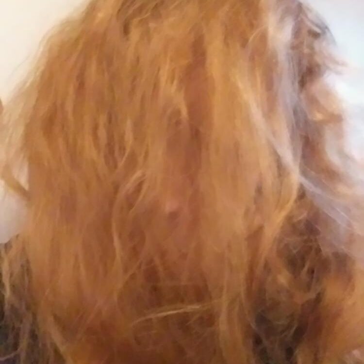 Foto de perfil de Zeppelin