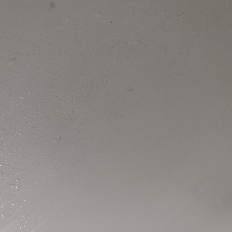 Foto de perfil de Matt