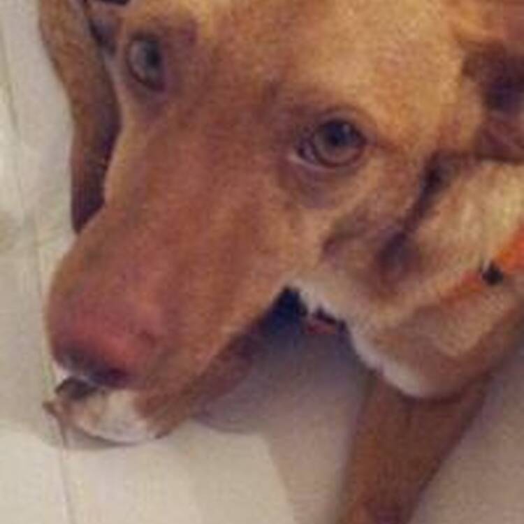 Foto de perfil de Elisa GF