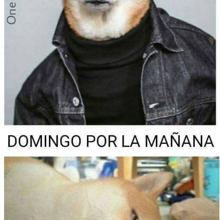 Foto de perfil de Fran