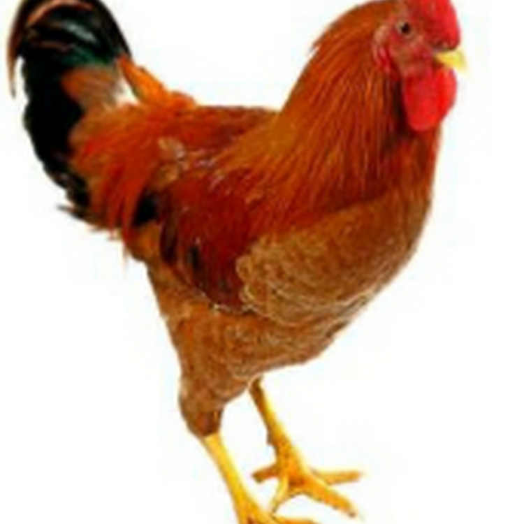 Foto de perfil de Justsomeguy