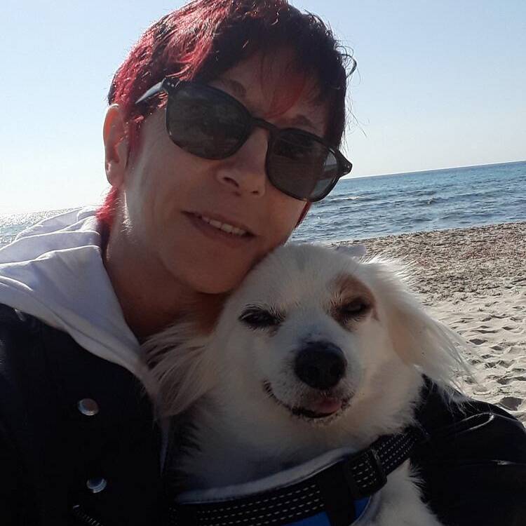 Foto de perfil de Socram