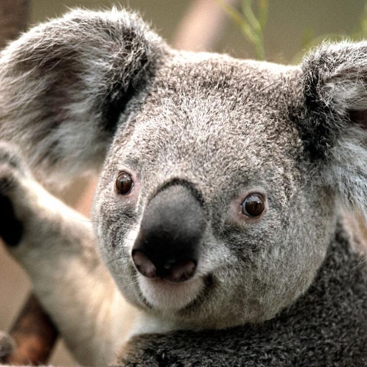 Foto de perfil de davshan