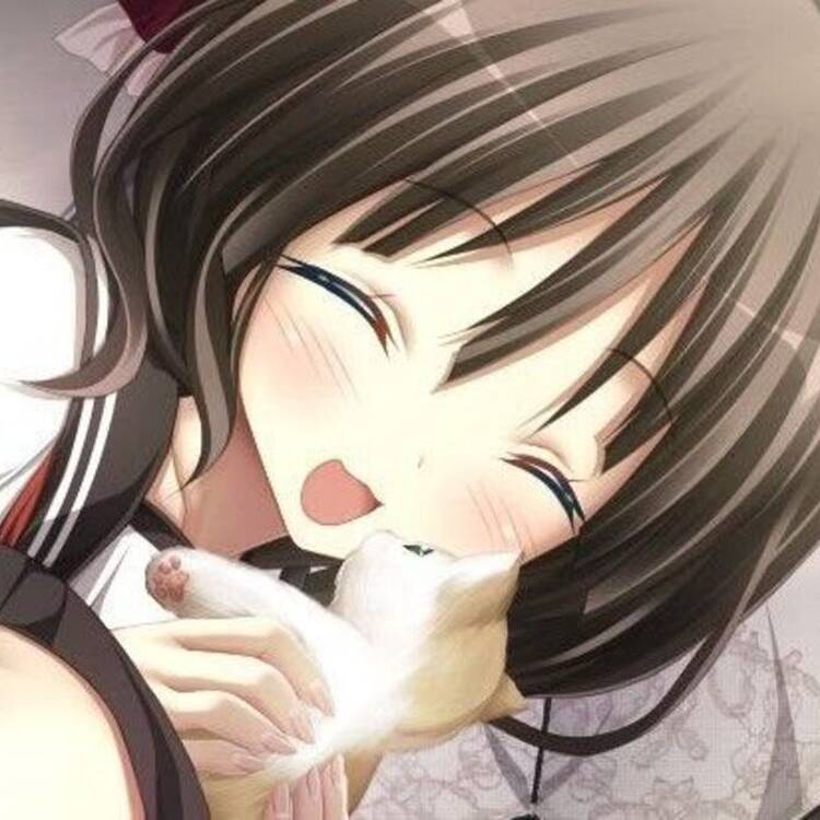 Foto de perfil de Rachel