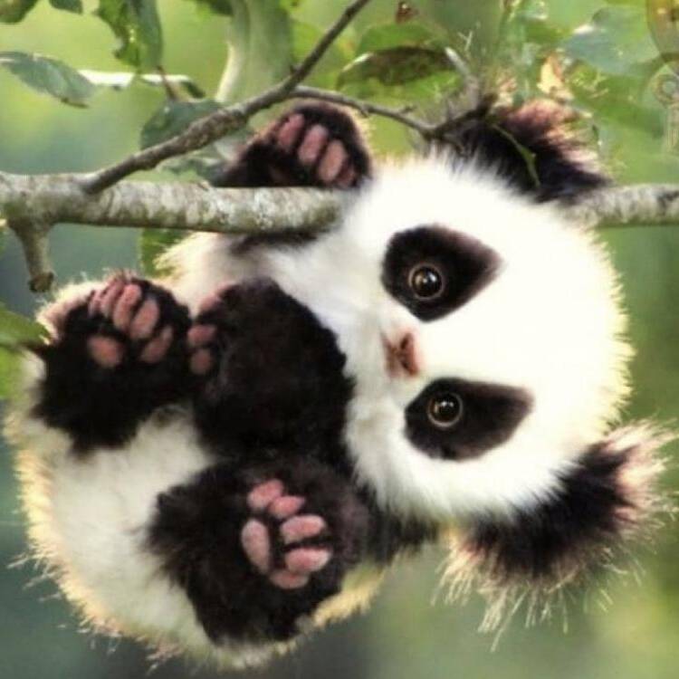 Foto de perfil de Clau