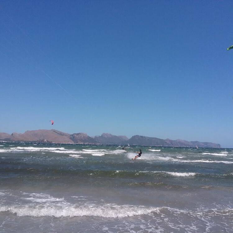 Foto de perfil de Paula