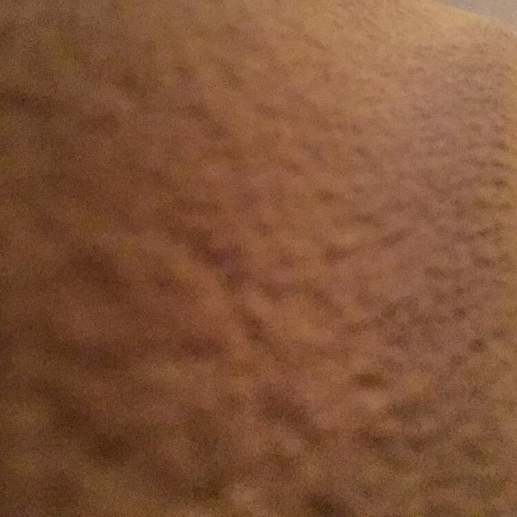 Foto de perfil de AlexT
