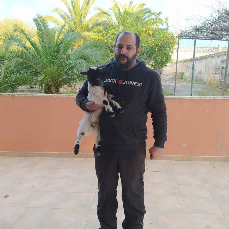 Foto de perfil de Juan