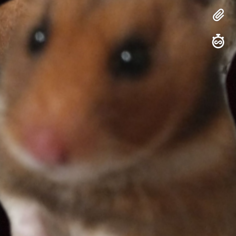 Foto de perfil de Jules