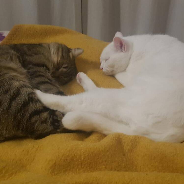 Foto de perfil de Nar