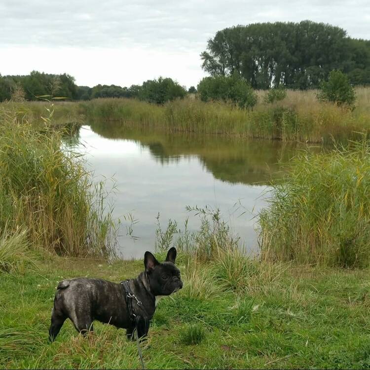 Foto de perfil de Ruben