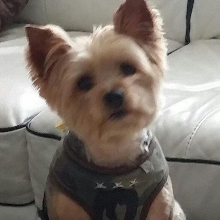 Foto de perfil de Al