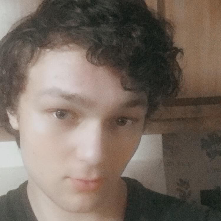 Foto de perfil de Tigerpaw1999