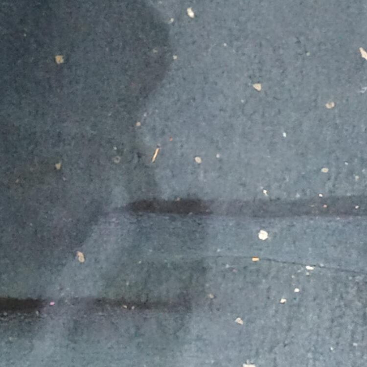 Foto de perfil de Nikzptl