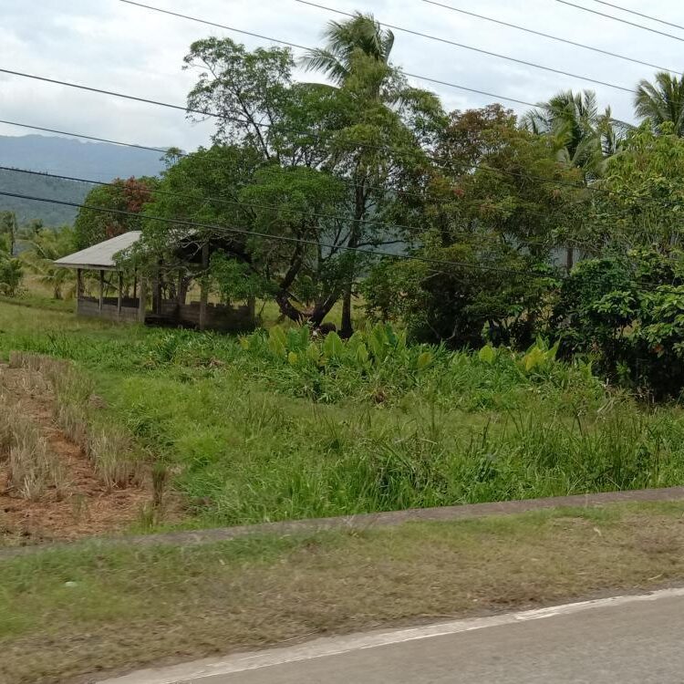 Foto de perfil de paparhenz