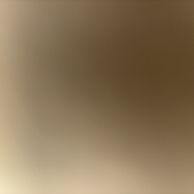 Foto de perfil de Vincent