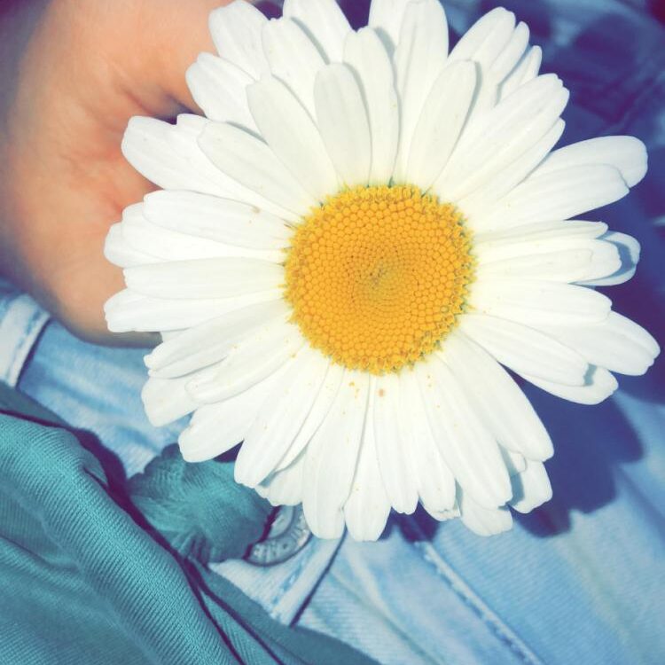Foto de perfil de mckenzie