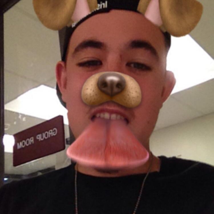 Foto de perfil de Mitchell