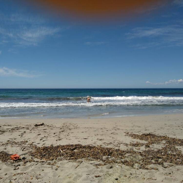 Foto de perfil de Ese699