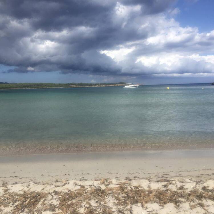 Foto de perfil de Mar