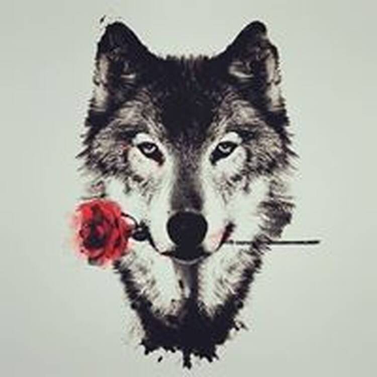 Foto de perfil de Cristian El Lobo